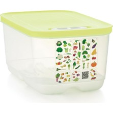 Özbience Yüksek Gövdeli Gıda Saklama Kabı Lime 4.4 L, Pratik ve Dayanıklı