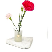 Missi Flora Design-Minimal Buzlu Cam Vazo