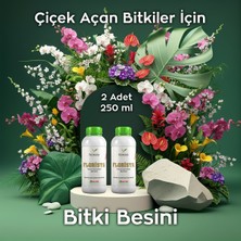 Ferment Tarım Ferment Florista Ikili 250 ml (2 Adet) Tüm Çiçekli Salon Bitkileri Için Canlandırıcı