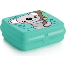 Özbience Sağlıklı ve Şık, Pratik Sandviç Saklama Kabı, Günlük Kullanım Için Ideal