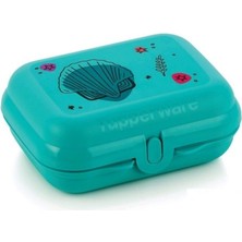 Özbience Mini Istiridye Saklama Kabı, Pratik ve Şık Mutfak Gereciği