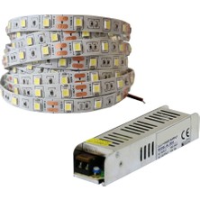 Cata 4040 Yeni Nesil 10 Çipli 25 Metre Şerit LED + 30 Amper 360W Trafo