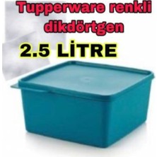 Özbience Şeffaf Kare Saklama Kabı 2.5l, Pratik ve Dayanıklı Mutfak Gereci