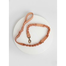 Balkonda Köpek Gezdirme Kayışı Tasması 2,5 cm Genişlik Deri