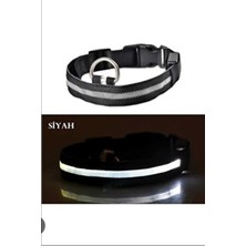 PremiumPort LED Işıklı Ayarlanabilir Boyun Tasması, Siyah, Güvenli ve Şık Tasarım