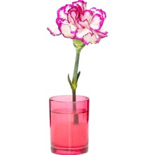 Missi Flora Design-Minimal Kırmızı Cam Vazo