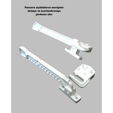 Allians Profesyonel Hızlı Kurutma ve Parlak Saçlar Için Fırça