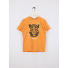 Discovery Expedition Turuncu Erkek Çocuk Baskılı T-Shirt D6SB-TST3006