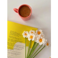 Henera Atelier El Örgüsü 10'lu Beyaz Papatya Dalı / Sevgililer Günü / Hediyelik /doğum Günü/öğretmenler Günü/çiçek