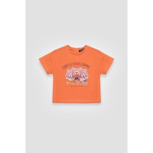 GB Baby Bg Store Erkek Bebek Turuncu Tshirt