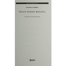 Insan Denen Meçhul