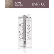 Maxx Deluxe Trendy Series Tüp Boya 100 ml 10.95 Cool Rose