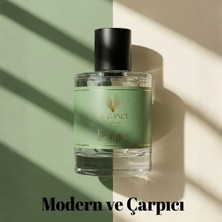 silver elegance vip perfume Femme Creasyon Edp 50 ml – Çiçeksi ve Feminen Kadın Parfümü