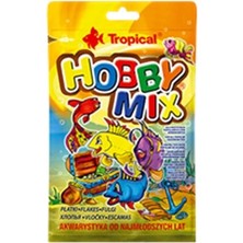 Üreticiniz Tropical Hobby Mix Küçük Akvaryum Balıkları Için Karışık Pul Yem 12 gr 481348