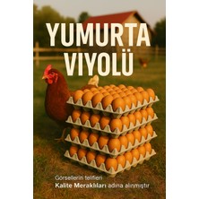 Kalite Meraklıları (310 Adet)30'lu Karton Yumurta Viyolü (310 Adet 17LBS)- Viyol Toptan Premium Kalite Yumurta Kutusu