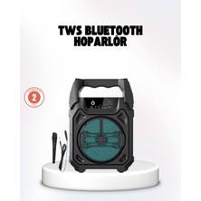 Teknodayım Taşınabilir 6.5” Bluetooth Hoparlör USB Tf Kart Mikrofonlu Şarjlı Sistem