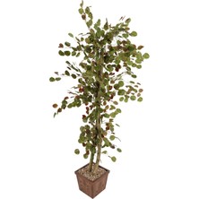 Yapay Çiçek Sitesi Yapay Para Ağacı 190CM