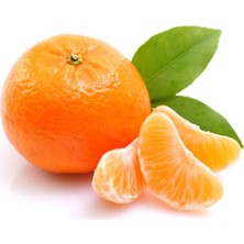 Labari 1 kg Taze Mandalina Anamur Mandalinası Akdeniz Mandalinası