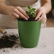 Badem10 Yeşil Kırılmaz Plastik Dekoratif Saksı (1 Adet) 15CM Orkide Çiçek Bitki Için Kırılmaz Balkon Saksısı