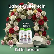 Ferment Tarım Ferment Rosify Üçlü 250 ml (3 Adet) Özel Gül Bakım Besini - Sarmaşık, Baston, ve Saksı Gülleri Için