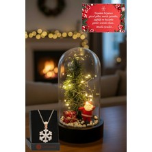 PremiumPort Yılbaşı Temalı Büyük Boy Peri LED Işıklı Fanus ve Kartanesi Kolye