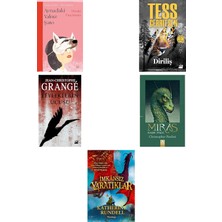 İthaki Yayınları Aynadaki Yalnız Şato + 4 Kitap Daha (Set)