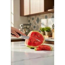 Lazoğlu Sharplife 4 Parça Hediyeli Mutfak Bıçak Seti