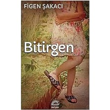İletişim Yayınları Bitirgen + 9 Kitap Daha (Set)