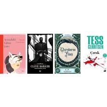 İthaki Yayınları Aynadaki Yalnız Şato + 3 Kitap Daha (Set)