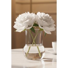 Oduman Dekoratif Elma Formlu Şeffaf Cam Vazo - Minimalist Çiçek Vazosu 11 cm