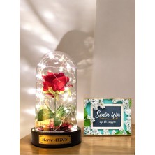 PremiumPort Kişiye Özel Kırmızı Güllü Fanus, LED Işıklı Öğretmenler Günü Hediyesi