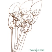 Yapay Çiçek Sitesi Kuru Çiçek Cane Pradeep 60 cm 10LU