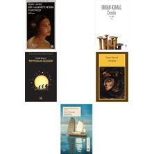 İş Bankası Kültür Yayınları Bir Hanımefendinin Portresi: Modern Klasikler Serisi + 4 Kitap Daha (Set)