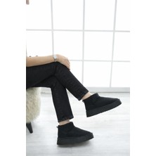 Dasy Içi Kürklü Bot