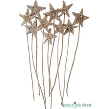 Yapay Çiçek Sitesi Kuru Çiçek Rattan Lata Yıldızı 55 cm 10LU