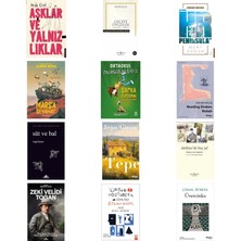 Destek Yayınları Aşklar ve Yalnızlıklar + 11 Kitap Daha (Set)