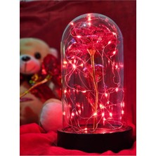 PremiumPort Kırmızı Peri LED Işıklı Sonsuzluk Gülü Dekoratif Fanuslu