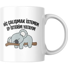 Taketshirt Hiç Çalışmak Istemem Ep Isterim Yatayım Komik Yazılı Kupa Bardak Hediyelik Çay Kahve Kupası Coffee Mug
