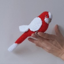 Amigurumi Örgü Oyuncak Muhabbet Kuşu Kırmızı Beyaz Türkiye