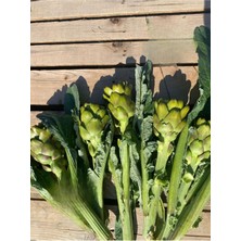 Adalılar Çiftliği Dalından (Soyulmamış) Taze Dolmalık Aydın Enginarı | 5 Adet