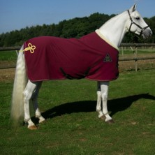 Yakalı Ip Detaylı Polar Blanket