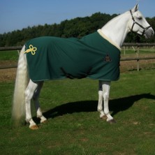 Yakalı Ip Detaylı Polar Blanket