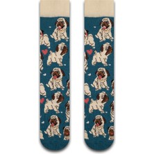 Neşeli Çoraplar Cool Dog Renkli Unisex Çorap