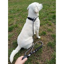 Balkonda Köpek Gezdirme Kayışı Tasması Boğma Model 12 cm Çap Iskoto Halat