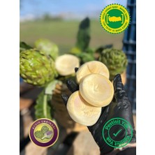 Adalılar Çiftliği Günlük Soyulmuş Taze Aydın Çanak Enginarı | Mini Boy | 5 Adet