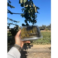 Adalılar Çiftliği Zeytinyağlı Yaprak Sarması | 500 Gram