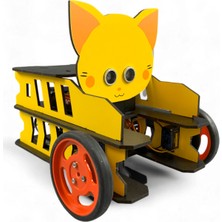 Lapin Deney Atölyesi Lapincar Özel Tasarım Ahşap Stem Arabası Bluetooth Destekli Dıy Kendin Yap