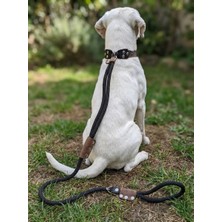 Balkonda Köpek Gezdirme Kayışı Tasması Boğma Model 12 cm Çap Iskoto Halat