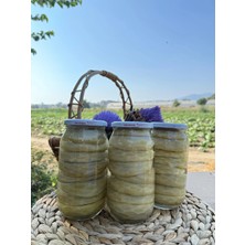 Adalılar Çiftliği 8'li Aydın Çanak Enginar Konservesi | 1000CC