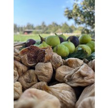 Adalılar Çiftliği Küçük Boy Kuru Incir | 500 Gram